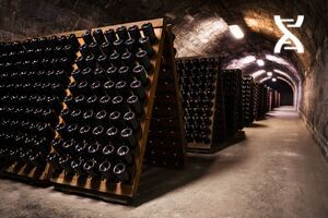 La logistique du vin : exigences, traçabilité et WMS