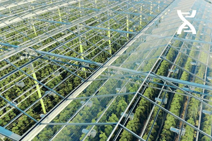 Les Paysans de Rougeline ont fortement investi dans leur appareil productif.