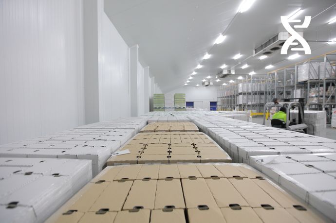 Une gestion de toutes les typologies possibles (tempéré, froid, surgelé, etc.)