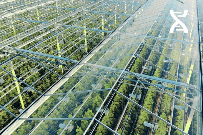 Une traçabilité du producteur au consommateur